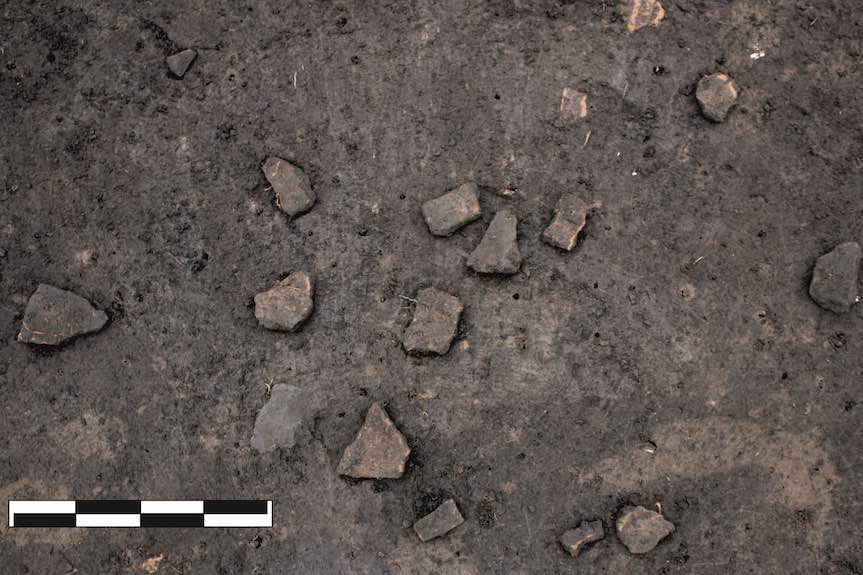 Warsztaty archeologiczne w Rzeszowskich Piwnicach