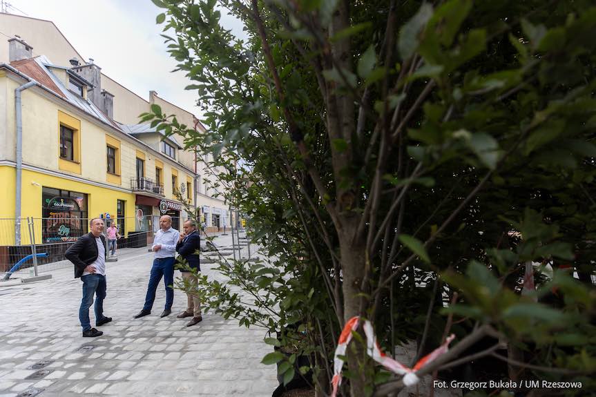 Deptak na ul. Grunwaldzkiej się zieleni