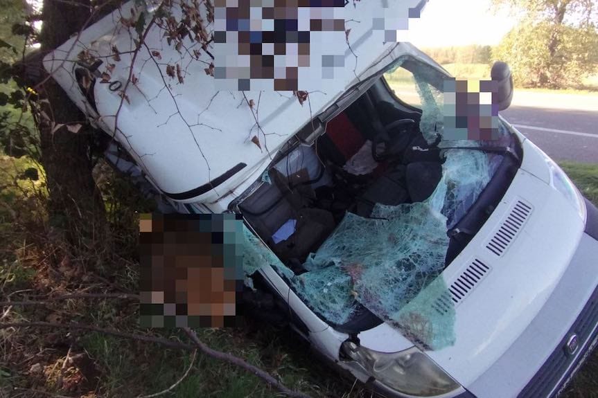 Kolizja fiata ducato z sarną w Górnie