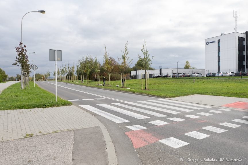 Park na os. Kotuli kolejną zieloną inwestycją