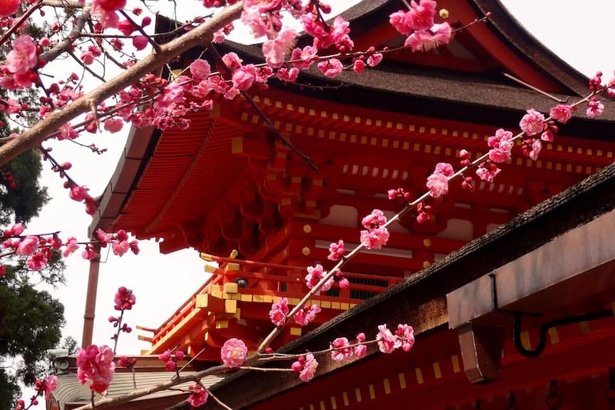 W RDK nauczysz się języka japońskiego