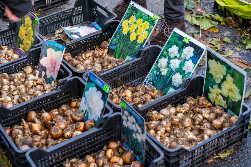 Podkarpacki Bazarek już w tę sobotę