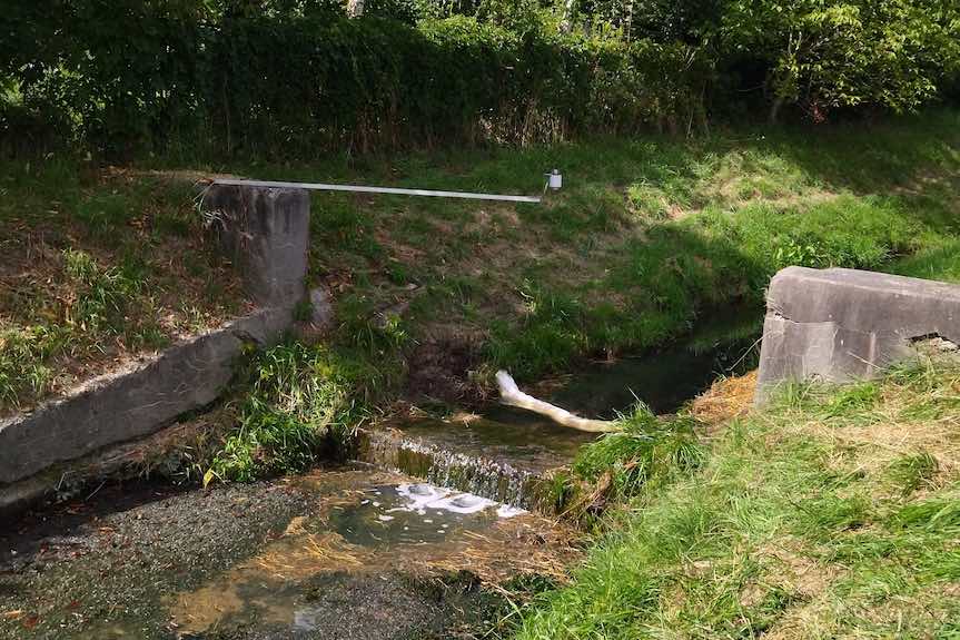 Zanieczyszczenie potoku Młynówka w Krasnem. Działania WIOŚ