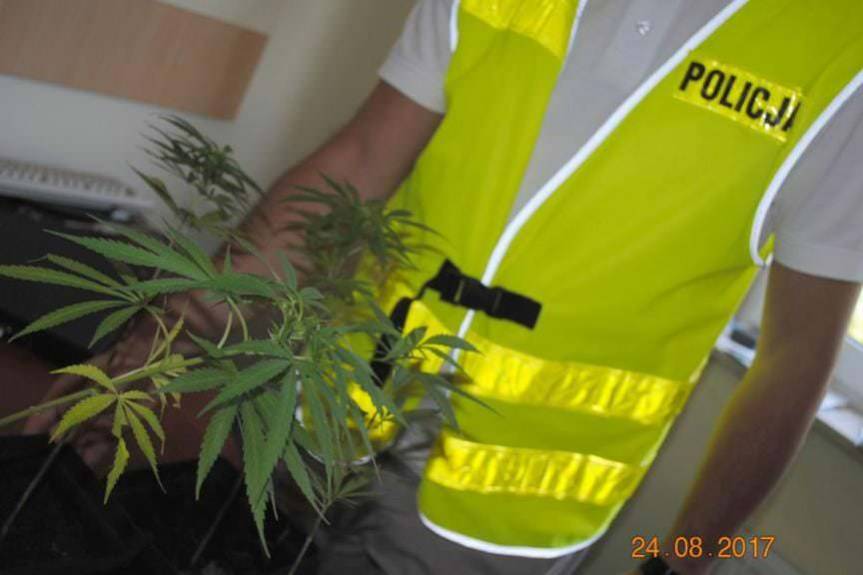 Od kradzieży do pozbawienia wolności