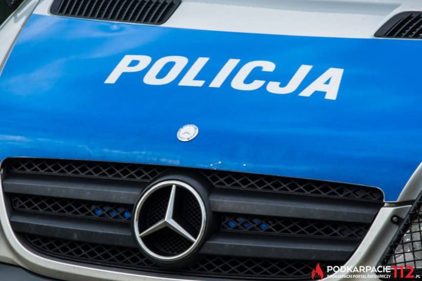 Została uderzona przez ścięte drzewo