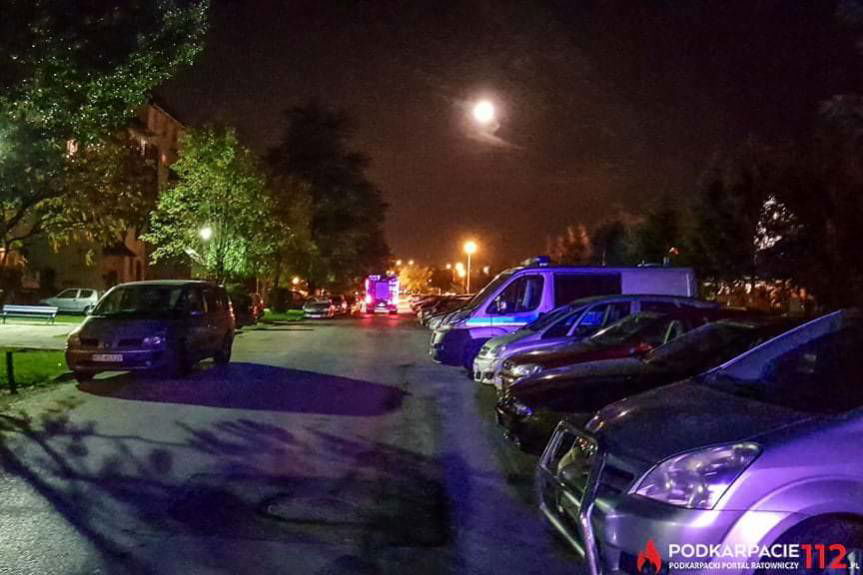 Fałszywy alarm, przyczyną wezwania służb