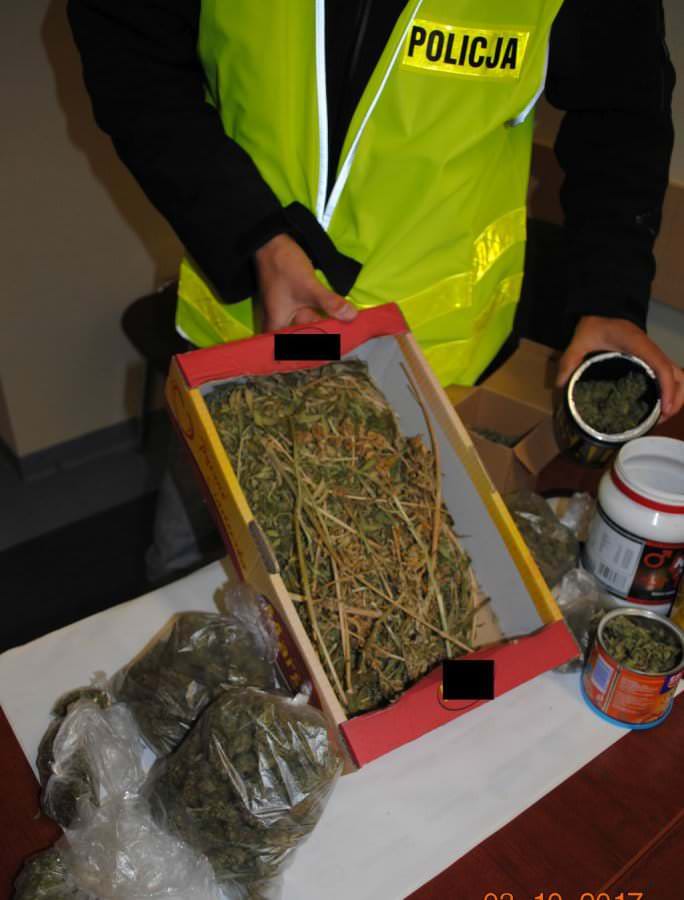 Policjanci zlikwidowali uprawę konopi indyjskich