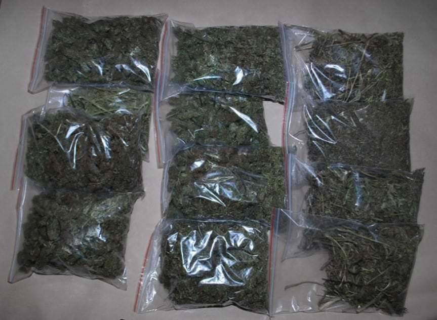 Plantacja konopi zlikwidowana