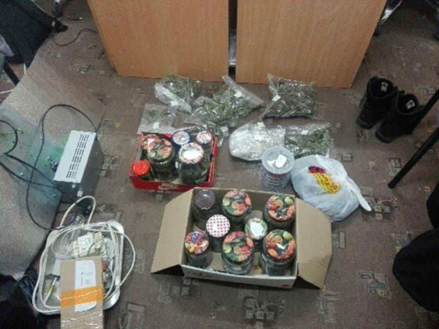 Plantacja konopi zlikwidowana