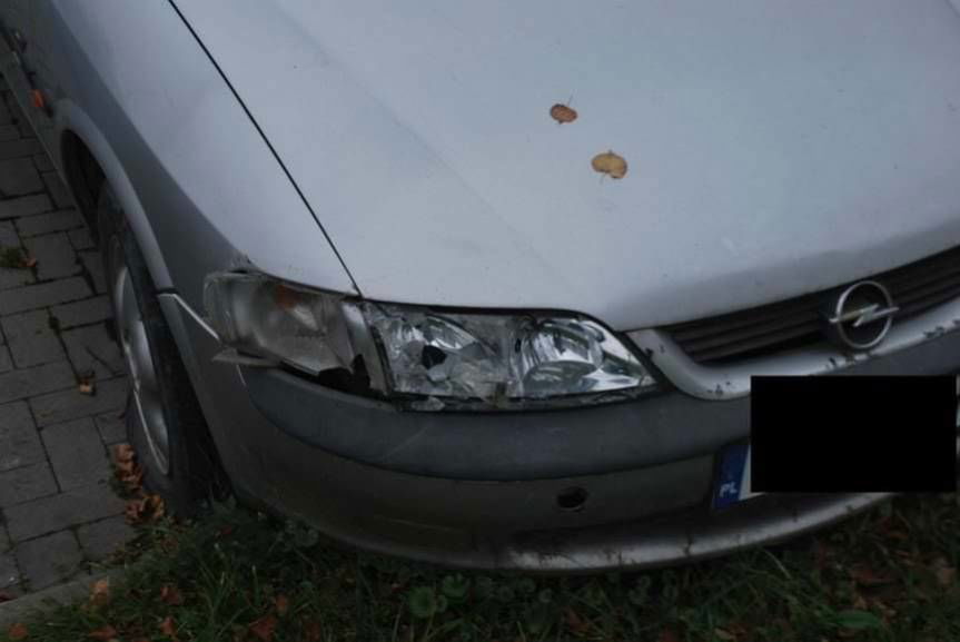 Policja zatrzymała wandali