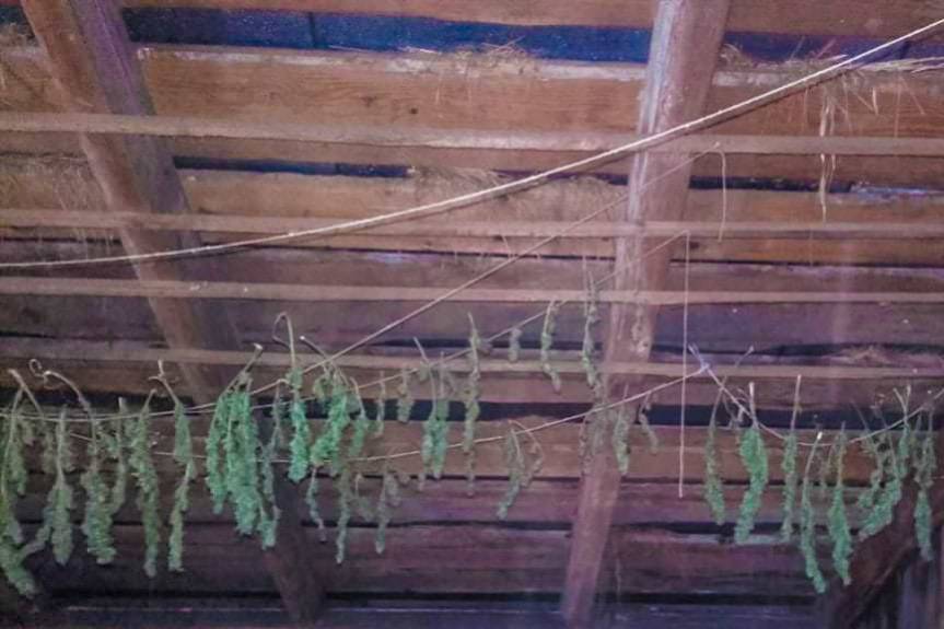 Posiadał narkotyki, odpowie przed sądem