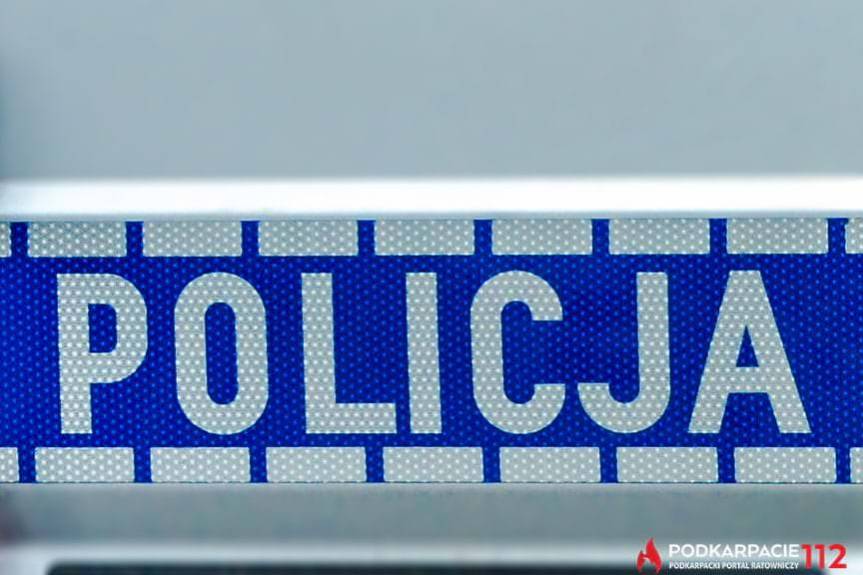 Działania "Listopadowy weekend 2017"