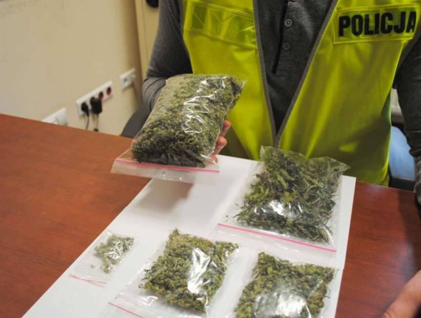 Policjanci zatrzymali prawie 100 gramów narkotyku
