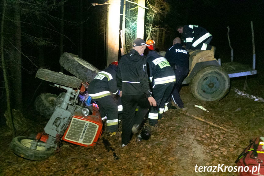 Tragiczny wypadek w lesie