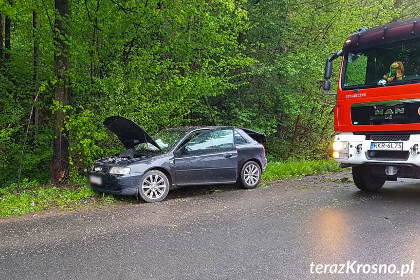 Rogi. Kierujący audi wjechał w drzewo