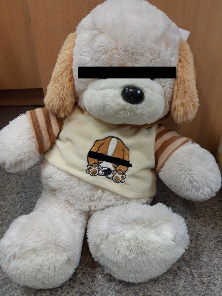 Zakochany 20-latek ukradł pluszaki!