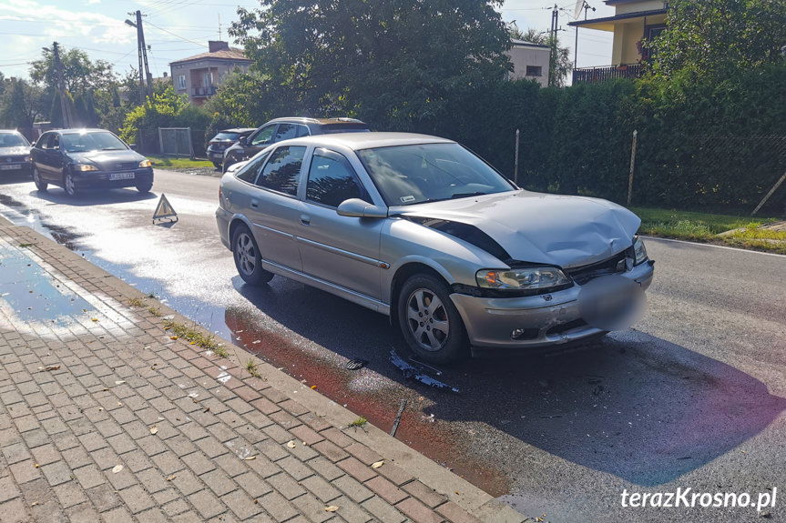 Kolizja w Świerzowej Polskiej