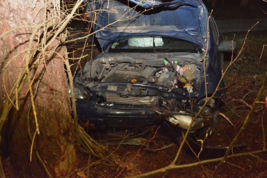 19-latka wjechała do rowu i uderzyła w drzewo