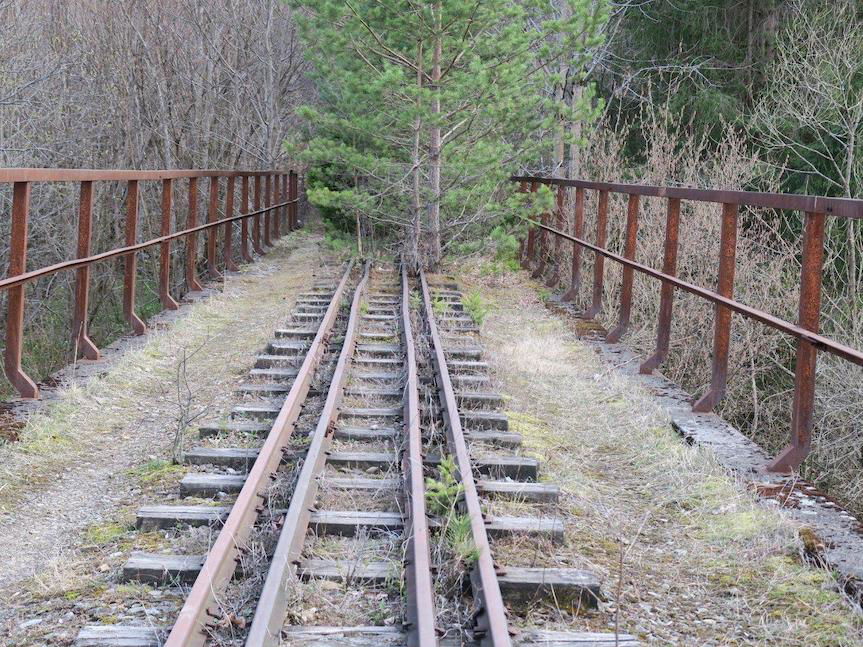 Zarośnięte torowisko