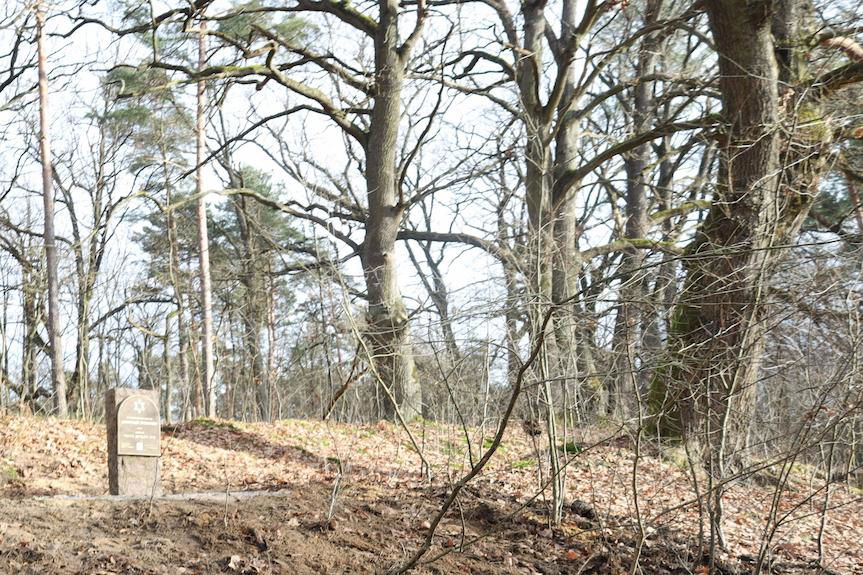 Leśny kirkut oznakowany