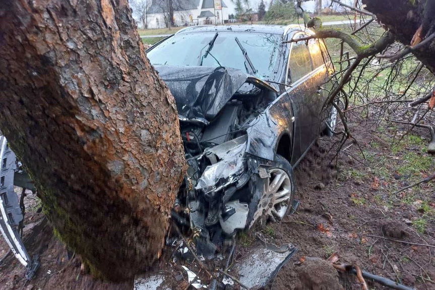 25-latek uderzył w drzewo. Pijany, bez prawa jazdy, z sądowymi zakazami i poszukiwany