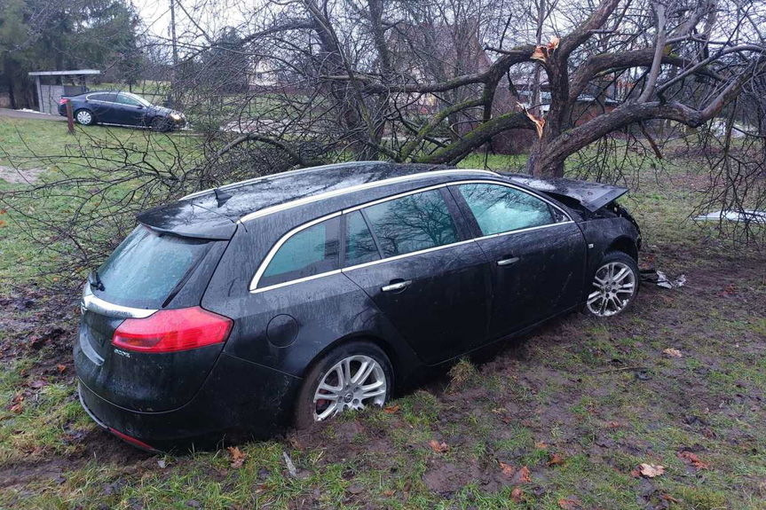 25-latek uderzył w drzewo. Pijany, bez prawa jazdy, z sądowymi zakazami i poszukiwany