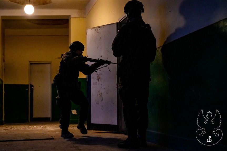 Ćwiczenia terytorialsów