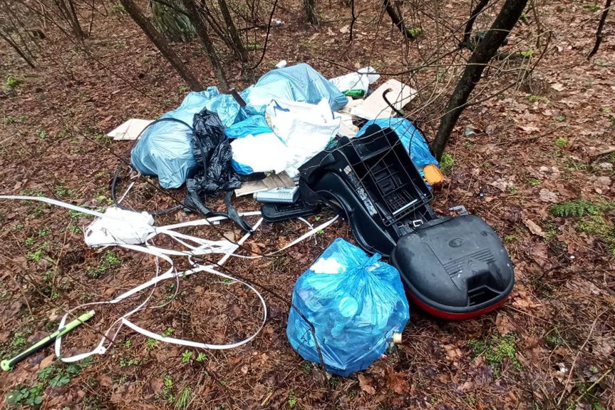 Wyrzucił śmieci do lasu, a w nich dokumenty ze swoimi danymi