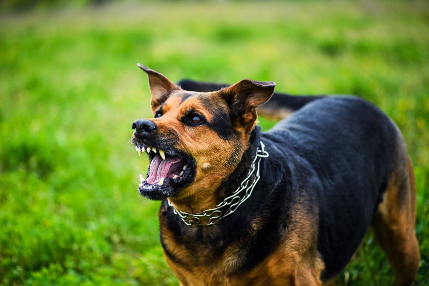 Za swoje nieodpowiedzialne zachowanie odpowie przed sądem