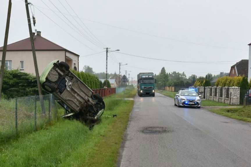 dachowanie w Jamnicy