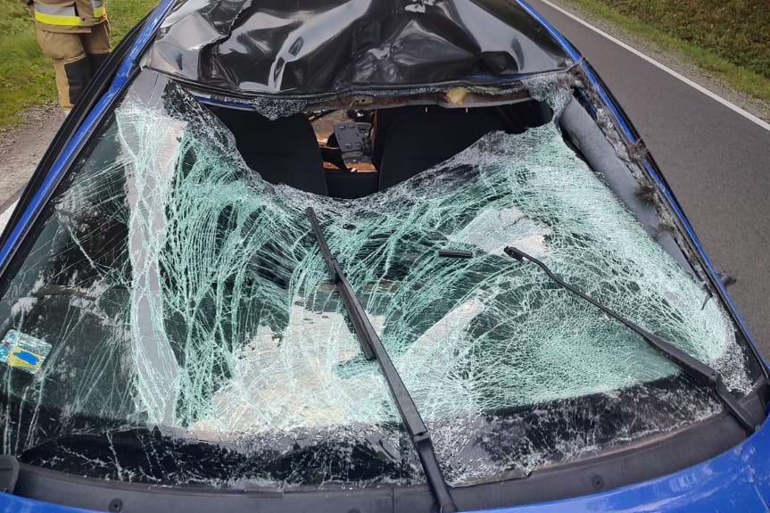 Zderzenie audi z łosiem