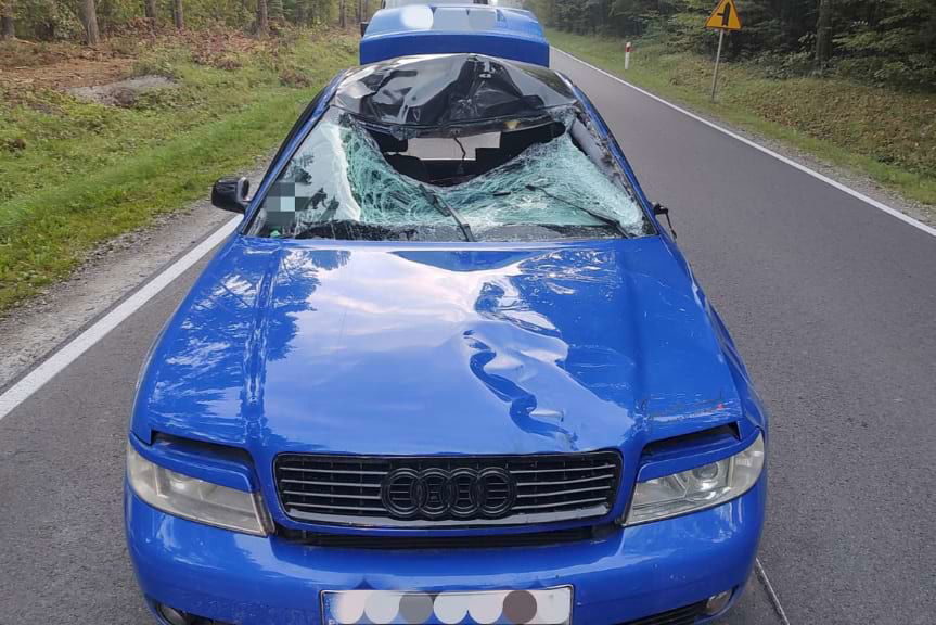 kolizja w Kowalówce