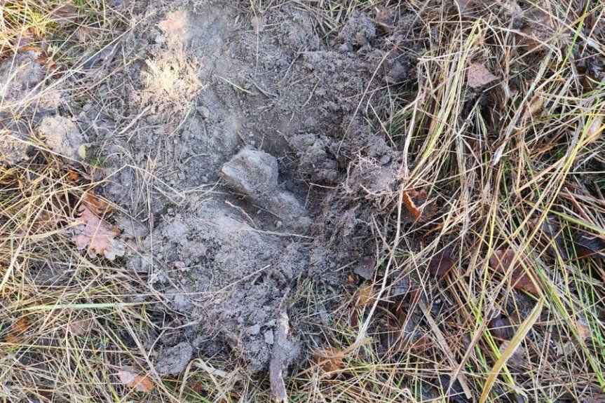 Policjanci zabezpieczali miejsce odnalezienia niewybuchu