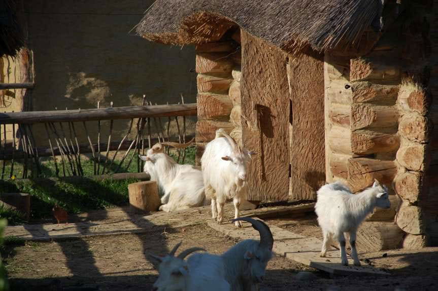 Karpacką Troję można zwiedzać