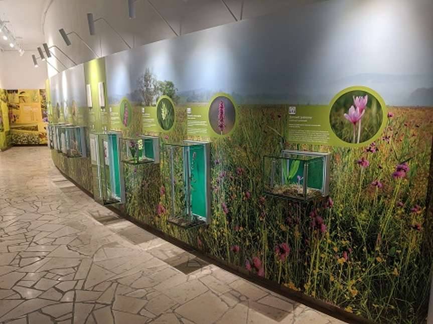 Otwarty Ośrodek Edukacyjno - Muzealny Magurskiego Parku Narodowego w Krempnej