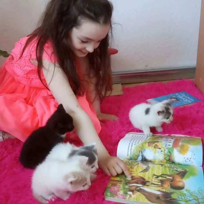 O zwierzętach ze zwierzętami