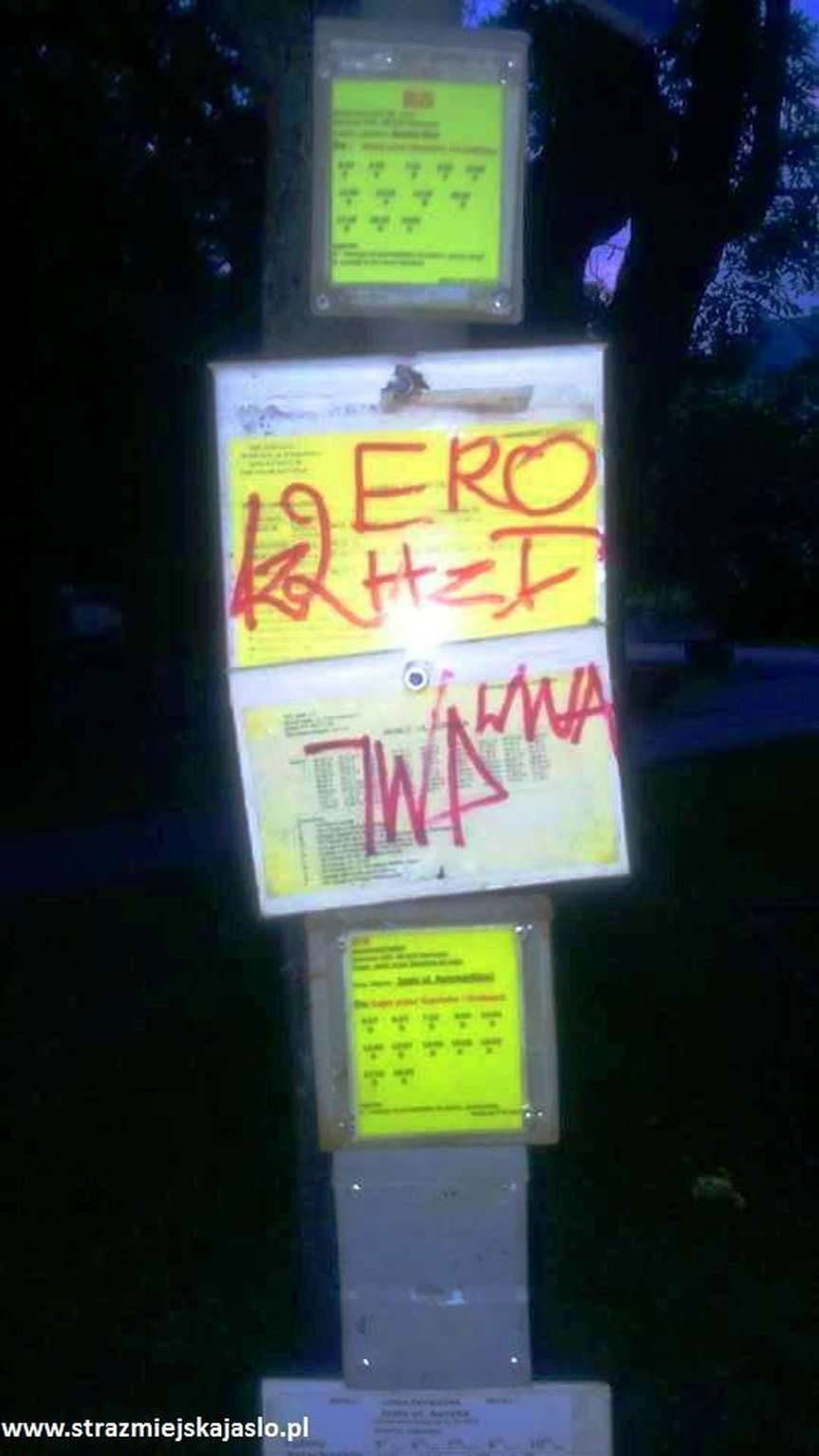 Jasło. Polowanie na wandali