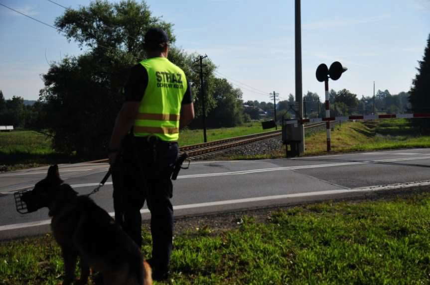 "Bezpieczny piątek” w Moderówce