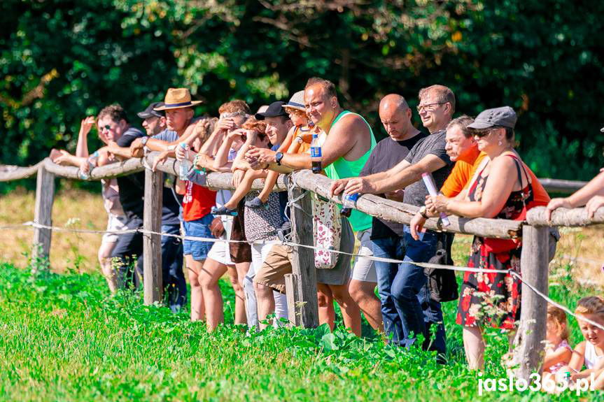 Memoriał Hubala w Jaśle