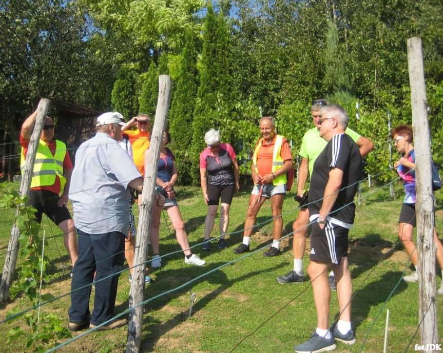 Z KK-T JDK: wycieczka rowerowa do winnic