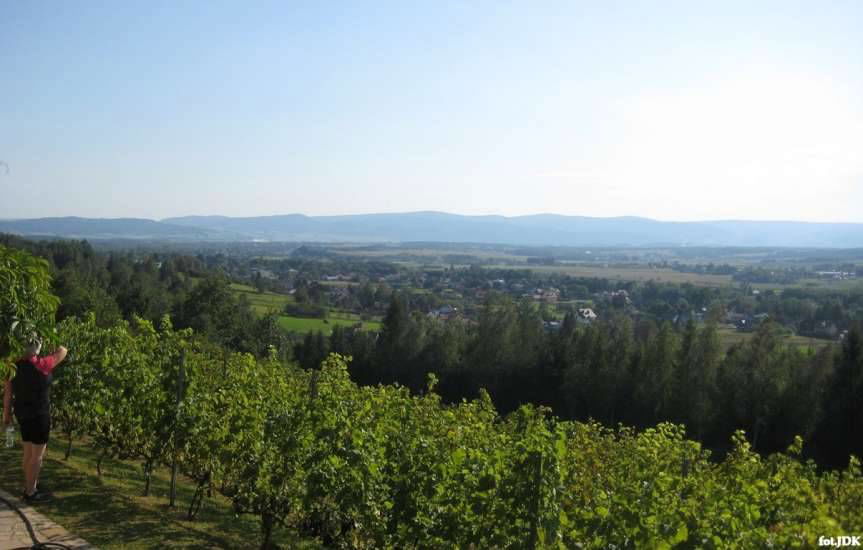 Z KK-T JDK: wycieczka rowerowa do winnic