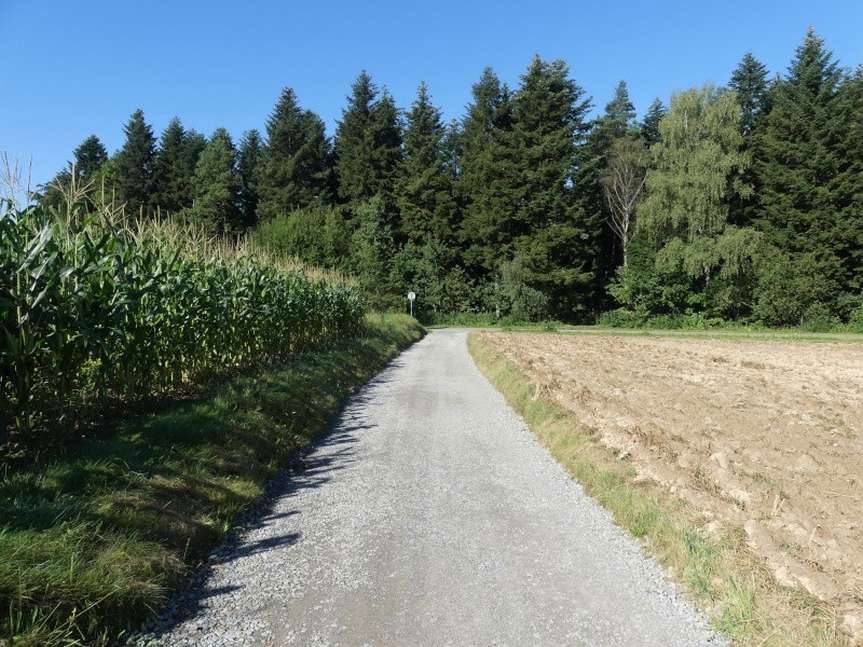 Gmina Skołyszyn. Lepszy dojazd do pól