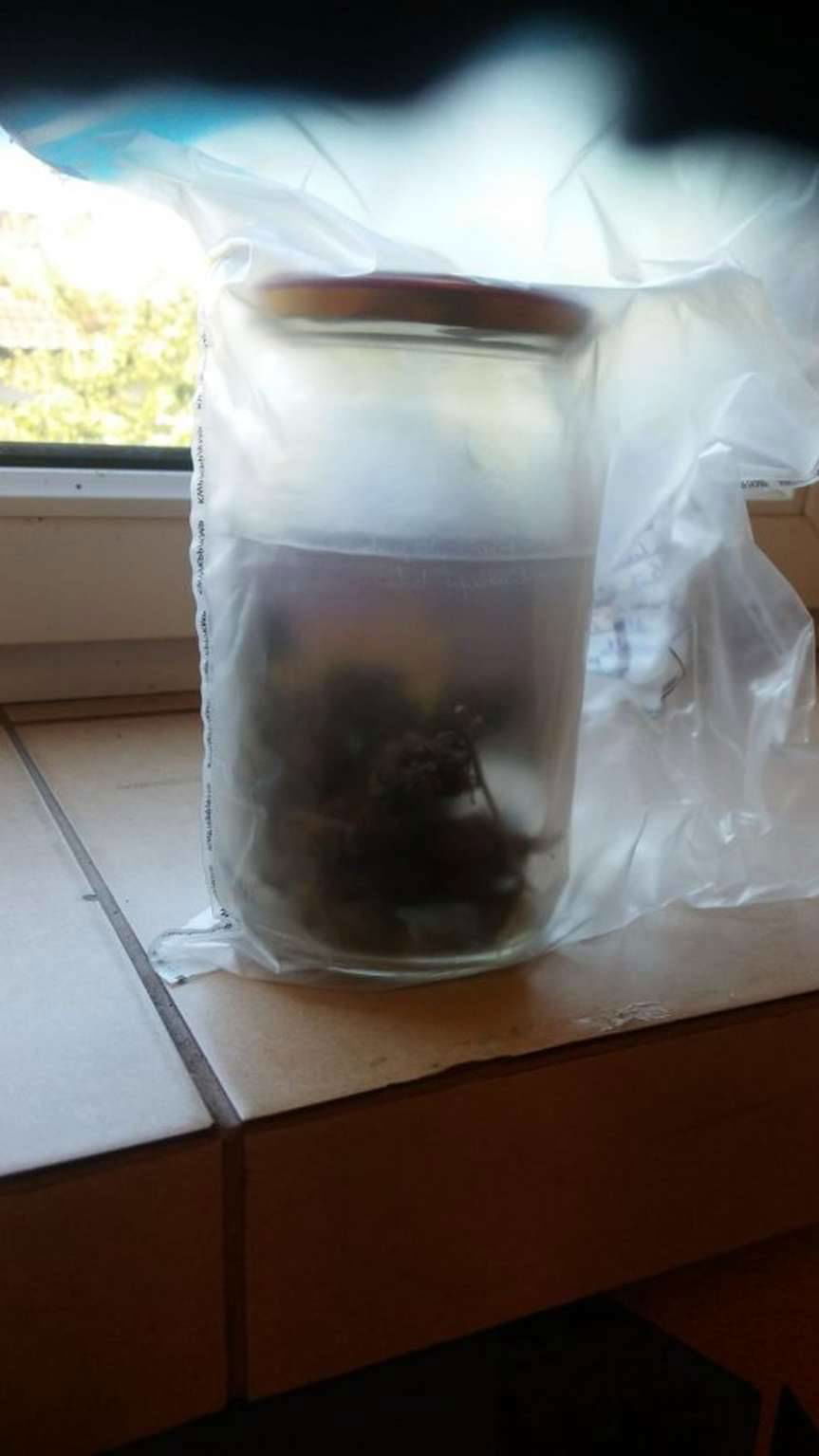 Jasło. Policyjny pościg za bmw. Kierowca uciekał, bo miał narkotyki