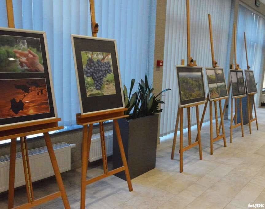 Studnia Kulturalna JDK. Filmowa opowieść o prekursorze winiarstwa Romanie Myśliwcu