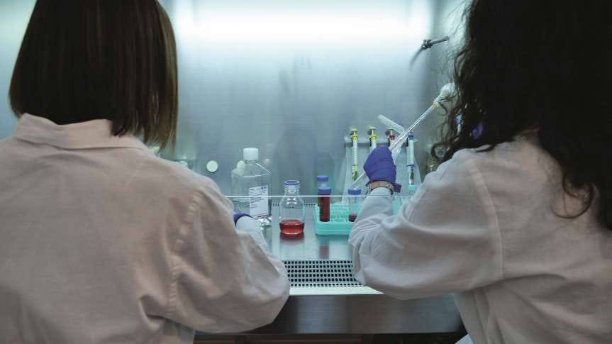 Podkarpackie Centrum Innowacji. Nawet 200 tysięcy złotych dla projektu naukowego