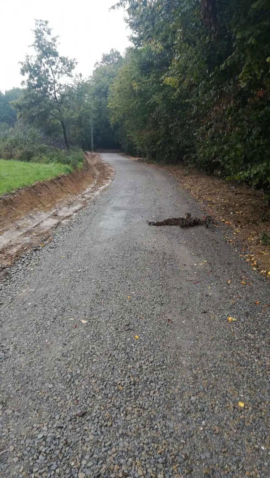 Modernizacja dróg w Wolicy i Niepli