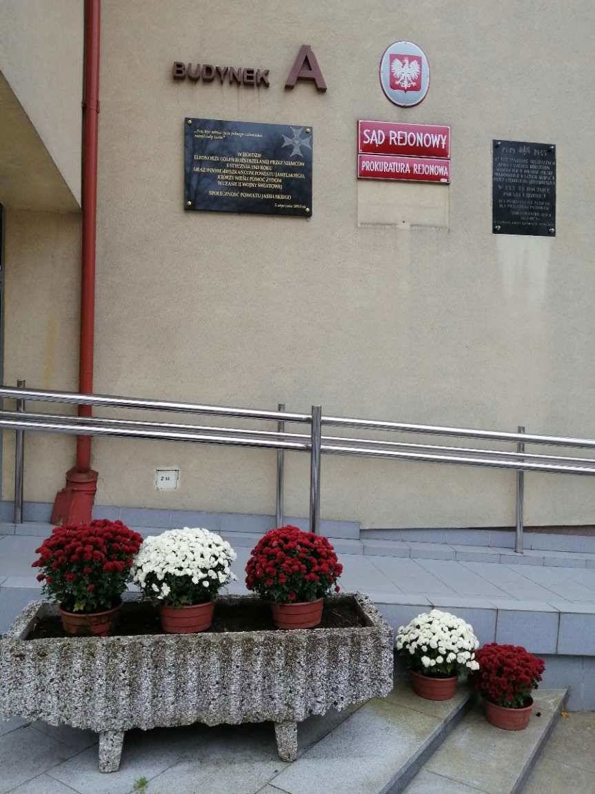 Powiat Jasielski kupił chryzantemy. Zostały rozmieszczone w miejscach pamięci narodowej