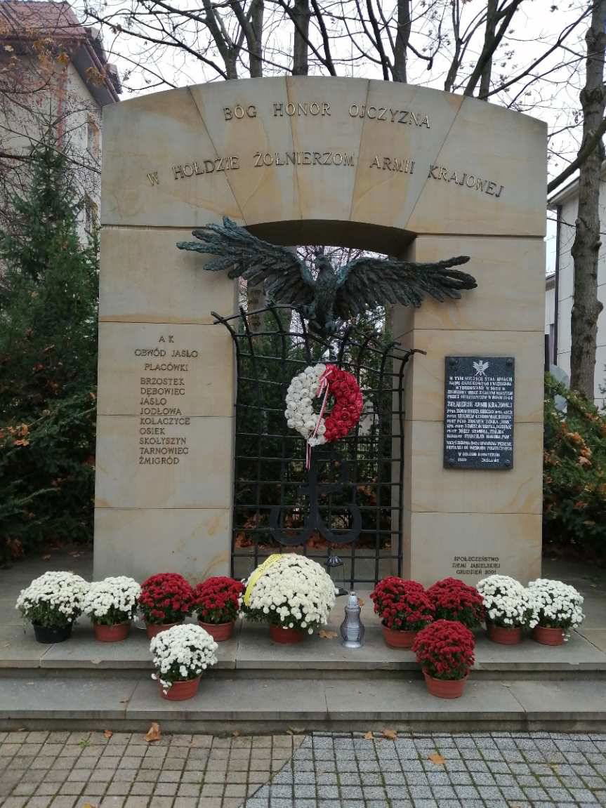 Powiat Jasielski kupił chryzantemy. Zostały rozmieszczone w miejscach pamięci narodowej