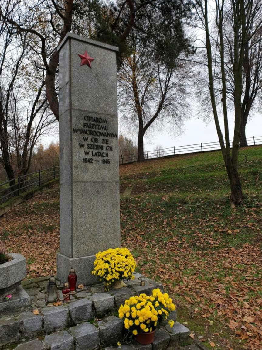 Gmina Jasło. Chryzantemy upiększyły wiele miejsc