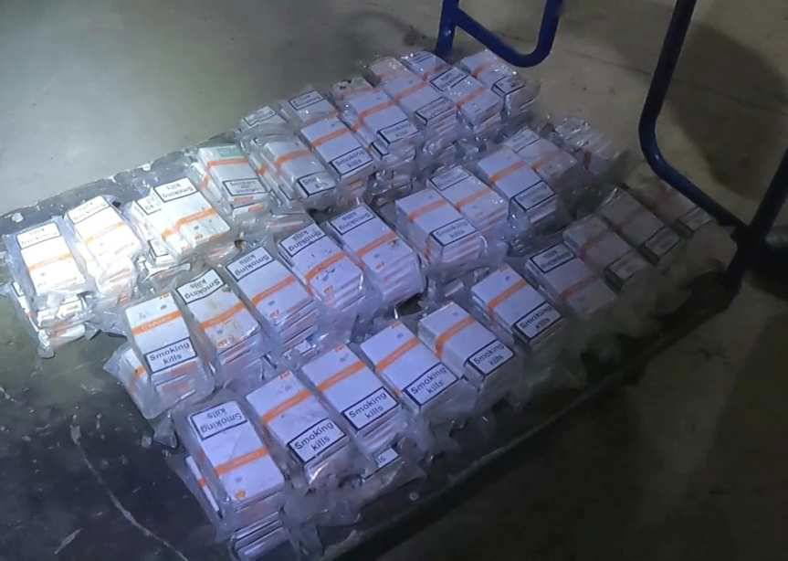 Psie nosy zmorą przemytników